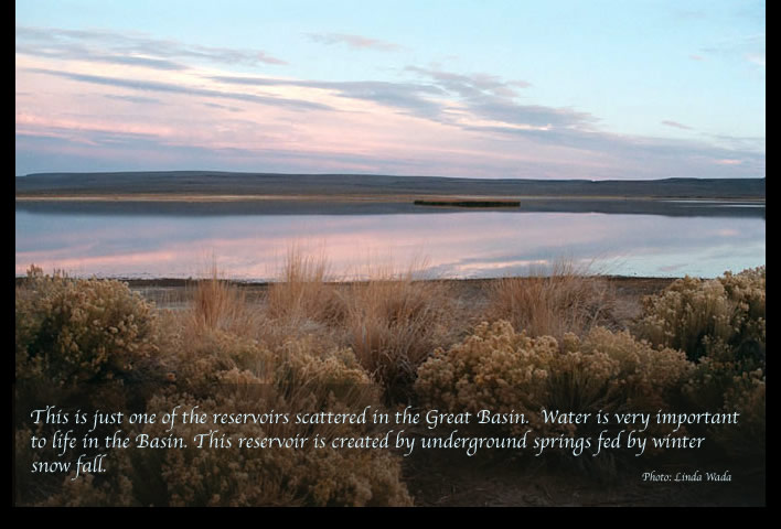 A reservoir in the Great Basin