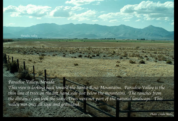 Santa Rosa Mountain Range 