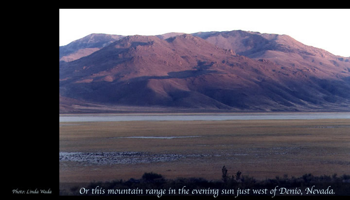 Great Basin near Denio Nevada